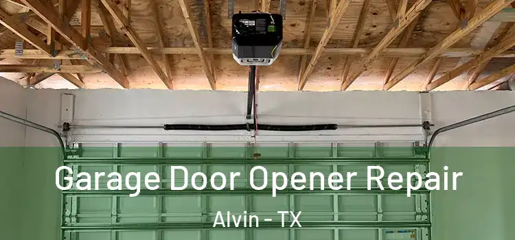  Garage Door Opener Repair Alvin - TX