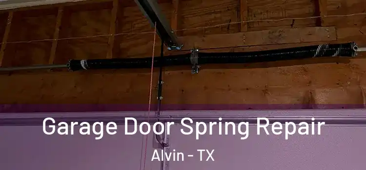  Garage Door Spring Repair Alvin - TX