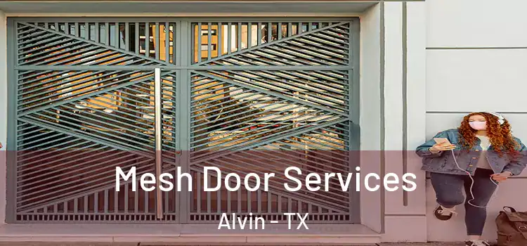 Mesh Door Services Alvin - TX