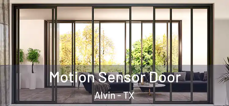  Motion Sensor Door Alvin - TX