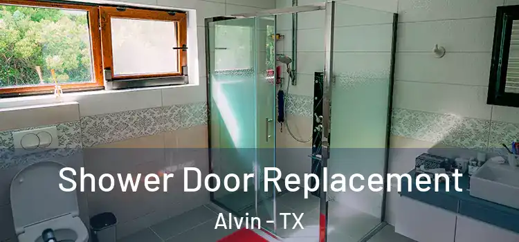 Shower Door Replacement Alvin - TX